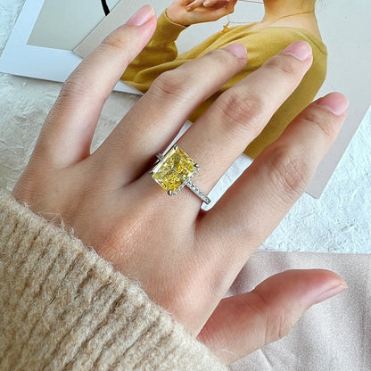 [RAFFINE]4.0 Carat Luxurious Engagement Ring