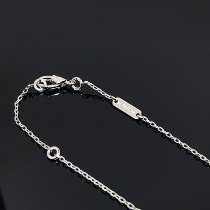 [RAFFINE]CLOVER PIETERSITE SILVER LONG NECKLACE